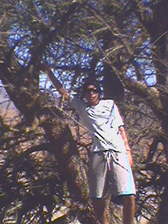 underground 4life